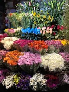 گلفروشی لیلاک