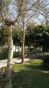 بوستان گلزار