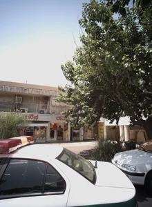پارچه فروشی اورگاندی 2