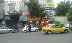 مدرسان شریف شاهرود