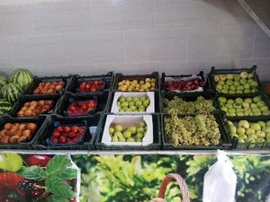 میوه سرای امیری