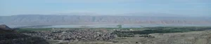 فست فود یامی