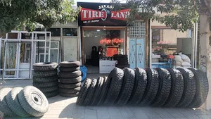 تایرلند جوادی