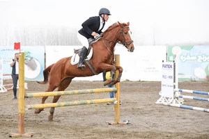 باشگاه سوارکاری سهند. SAHAND equestrian club