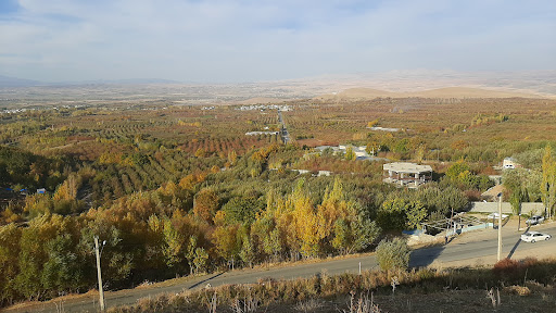 مرغداری حسین