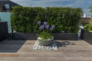 Hexa roof