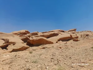 کمر سوراخیها مکرش