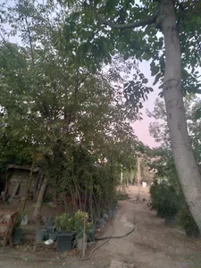 گل و باغباني خاتمي