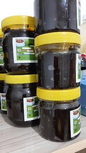 ارگانیک ماهشهر