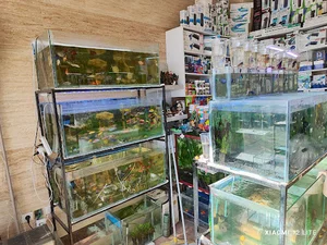 اکواریوم جزیره