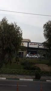 لاستیک علی رساپور 2