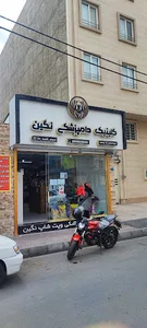 کلینیک دامپزشکی نگین
