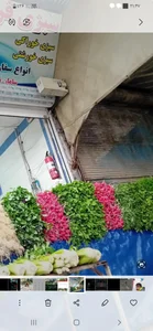سبزی فروشی امیر رسولی 2
