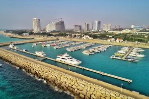 مارینا کیش