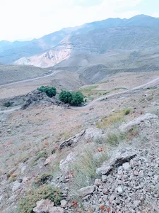 چاه و دامداری برادران شانوازلو