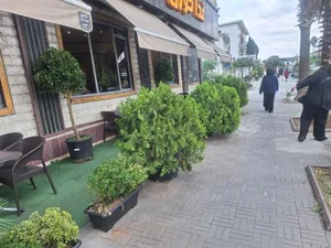 هتل آپارتمان هنرمندان 2