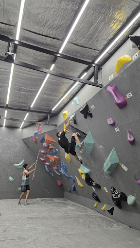 Wave Climbing Gym