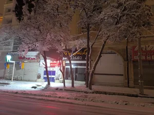 پیتزا و برگر زغالی دهکده