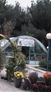 گل فروشی لاله