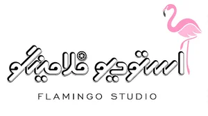 استودیو فلامینگو