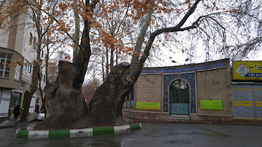 میدان چنار