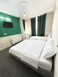 اسکان بام سبز