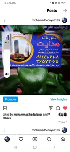 املاک هدایت 3