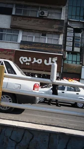 موسسه حمل و نقل کاکتوس