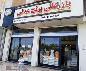 بازرگانی برنج عدلی