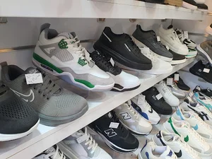Panda Shoes