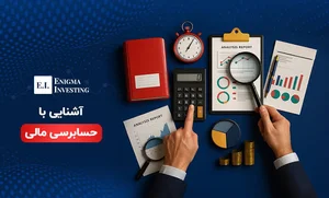 شرکت رادمان محاسب پارسه