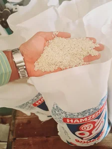 برنج کوبی قائم .حمزه کروشات
