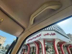 کباب گص صادقی 2