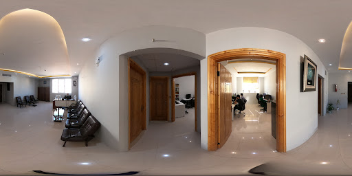 پیشگامان دامنه فناوری