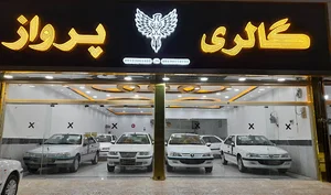 گالری پرواز