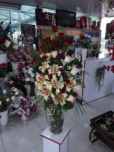 گل و گیاه صدرا