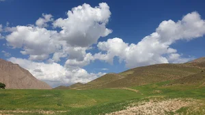 شهرداری ونک