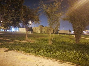 پارک شاهد
