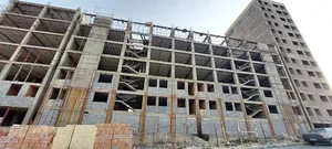الماس