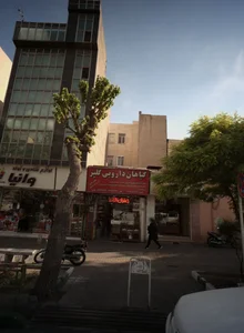 گیاهان دارویی گلپر 2