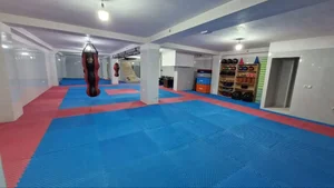 باشگاه ورزشی اسپاد 2