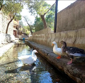 قنات نوبران