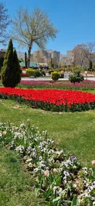 باغ لاله‌های اراک 3