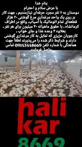 دفتر کشتارگاه صنعتی ماد طیور بروجرد