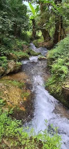 چشمه دمکش