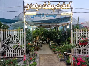 بهشت دیلمان beheshte deylaman