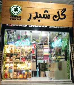 گل شبدر