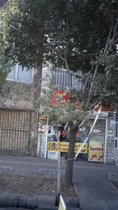 لوازم یدکی پرشین لنت 3