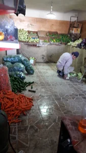میوه فروشی محمدی