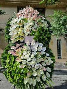 میدان نبرد
